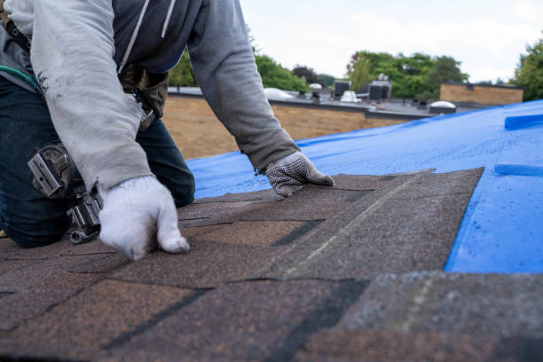 Gutter Installation and Roofing in Camden, SC