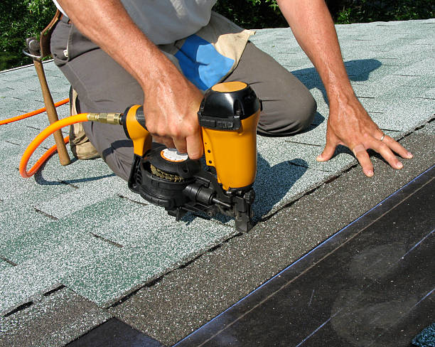 Best Roof Gutter Cleaning  in Camden, SC