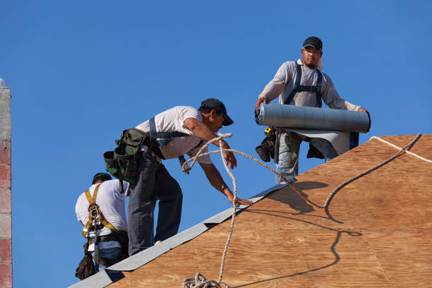 Professional Roofing Contractor in Camden, SC